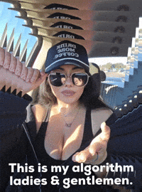 Brick By Brick Algorithm GIF