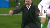 Happy A-League GIF by Western United Football Club