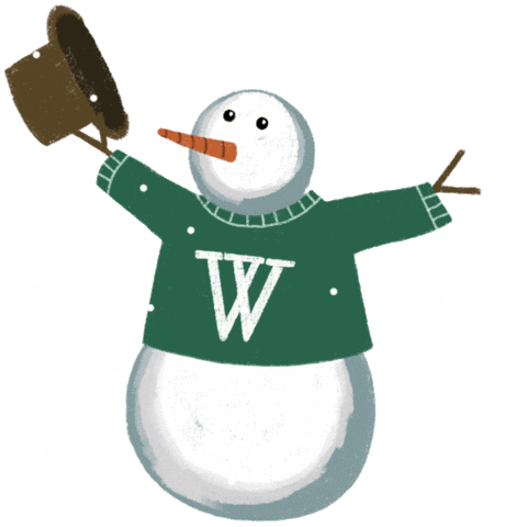 Snow Winter Sticker by Wagner College