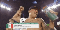 toprank fight boxing fighting fighters GIF