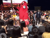 STRnetwork  GIF