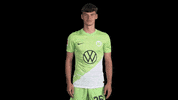 Bundesliga Applause GIF by VfL Wolfsburg