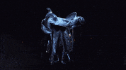 saturday night live snl GIF