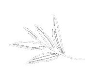 Leaves Vibe Sticker by Conviteria Com Amor