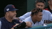 regular season sport GIF by MLB