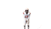 English Touchdown Sticker by Richmond Spiders