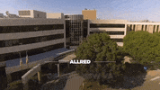 Team-Colin texas dallas democrats colin GIF