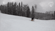 Snowboarding Winter Sports GIF by All-Round Champion
