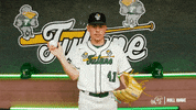College Baseball Kyle GIF by GreenWave