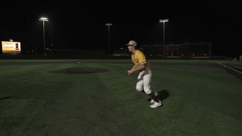 College Baseball GIF by Pearl River Athletics