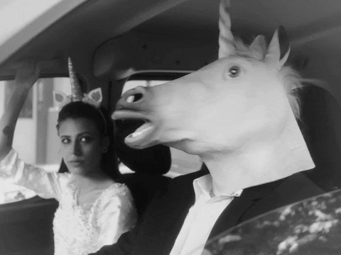SofiaInternationalFilmFestival giphyupload wedding unicorn marriage GIF