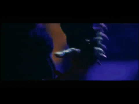 Sern giphygifmaker GIF