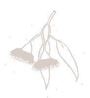 diegoueuur australia minimalist neutral outback Sticker
