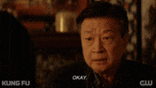 I Understand Tv Series GIF by CW Kung Fu