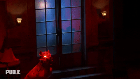 Glowing Eyes Dog GIF by The Public Theater