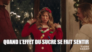 GiantTigerStore tigre geant tigregeant GIF