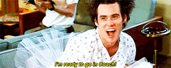 And I Am Not Sorry Jim Carrey GIF