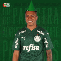 Happy Clapping GIF by SE Palmeiras