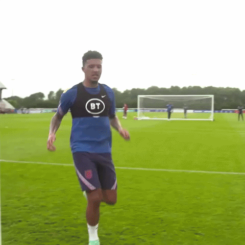 Three Lions Football GIF by England