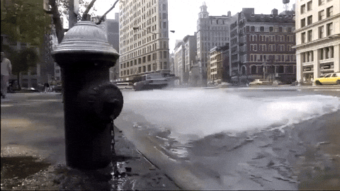 New York Nyc GIF