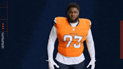 Football Nfl GIF by Broncos
