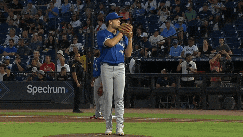 Blue Jays Baseball GIF by Toronto Blue Jays