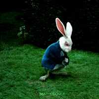 Alice In Wonderland Time GIF