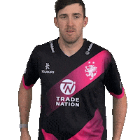 Celebration Sticker by Somerset County Cricket Club