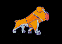 robertomillerf44c  GIF