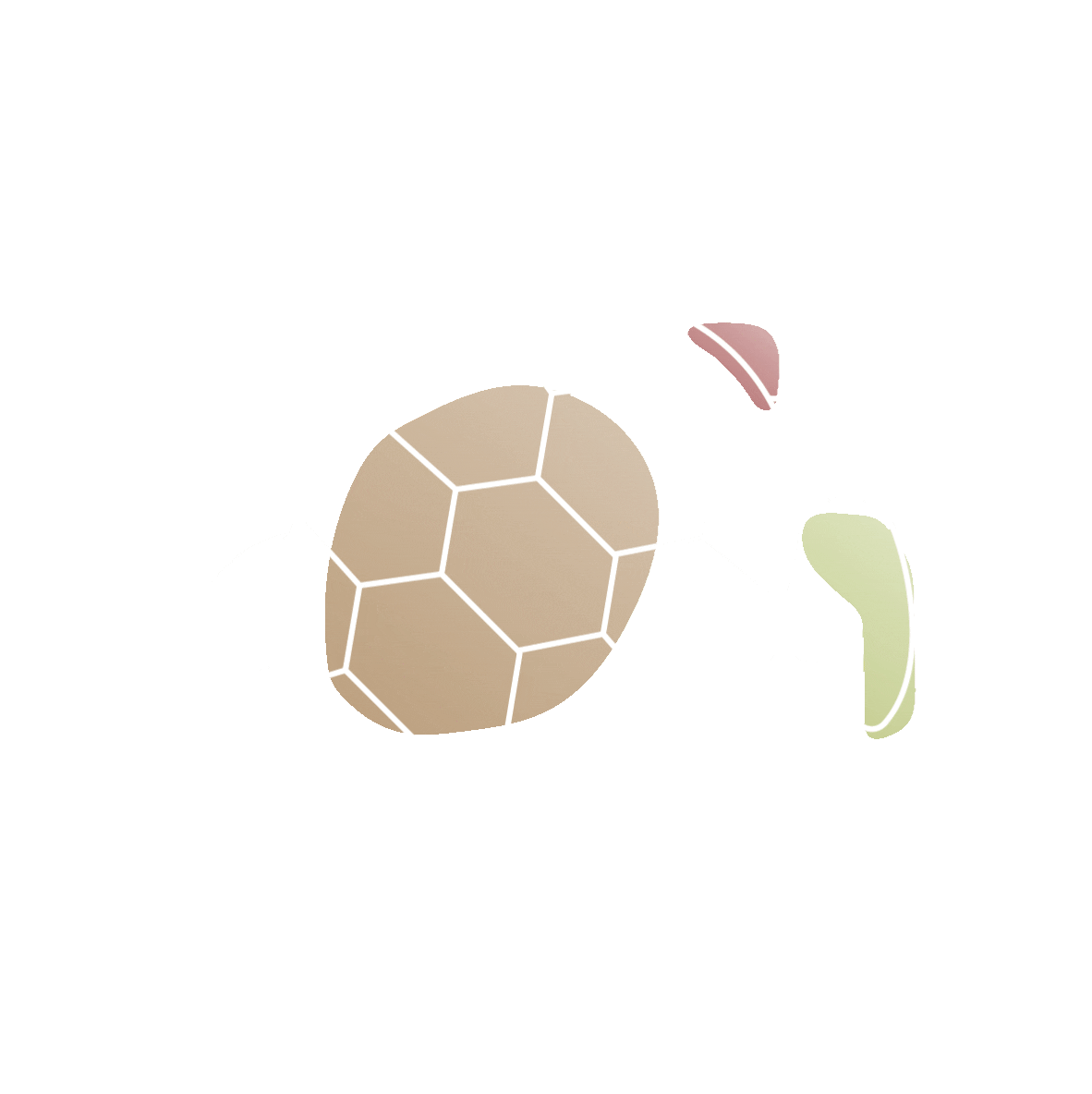 Turtle Sticker by Protek