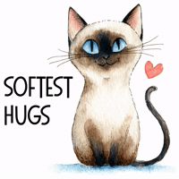 Siamese Cat Love GIF