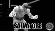 Fgi GIF by Federazione Ginnastica d'Italia