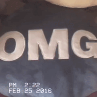 GIF by Product Hunt