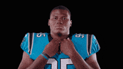 Derrick Brown No GIF by Carolina Panthers