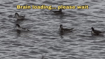 Work Spinning GIF by U.S. Fish and Wildlife Service