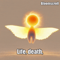 Butterfly Growth GIF by Bloomscroll