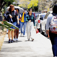 UTPPanama universidad estudiantes utp utppanama GIF