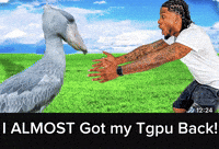 Tgpu GIF
