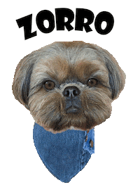 Dog Zorro Sticker