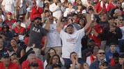 Fans Hype GIF by XFL