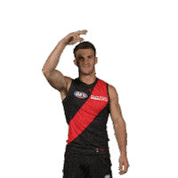 Dons Bombers Sticker by Essendon FC