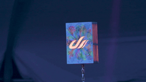 music festival GIF by Insomniac Events