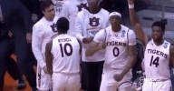 College Basketball Sport GIF by NCAA March Madness