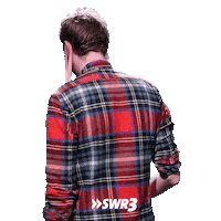 Turn Around Hello Sticker by SWR3
