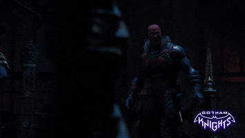 Red Hood Gotham GIF by WBGames