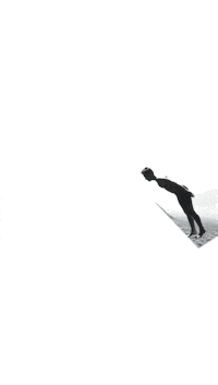 Slc Salice GIF