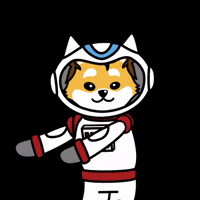 Outer Space Dance GIF by Dogelon Mars