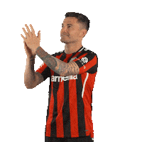 Lets Go Applause Sticker by Bayer 04 Leverkusen