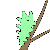 Bug Hello Sticker