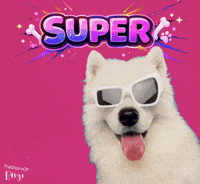 Top Benji GIF